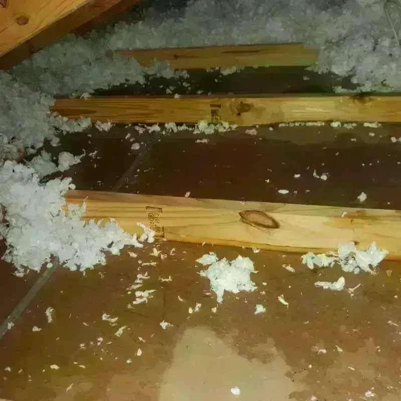 Attic Water Damage in Hampshire County, WV